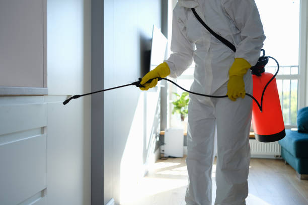Lincoln Park, NJ Mold Remediation Company